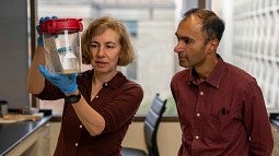 Karen Guillemin and Raghu Parathasarathy in a lab