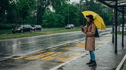 A lone woman with umbrella at rainy bus stop