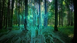 circuitboard over forest trees