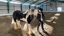 Student walking a horse around an indoor arena