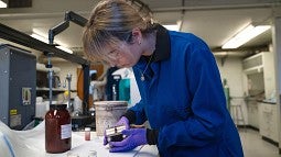 Researcher working on an electrochemical cell