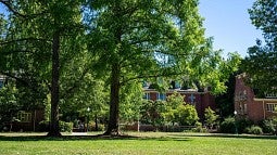 women's quad on a summer day