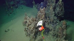 Volcanic ash on the seafloor
