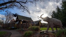 Museum of Natural and Cultural History