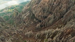 A debris flow in the Columbia River Gorge