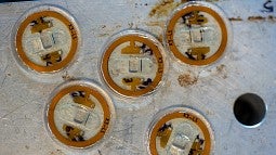 Sensors developed by Penderia Technologies