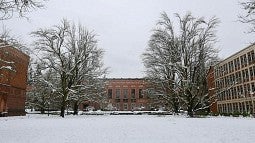 Memorial Quad in winter snow