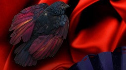 La Vida Breve opera bird