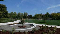 Great Lawn