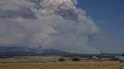 Smoke column from the Bootleg Fire
