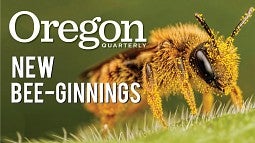 spring OQ 16.9