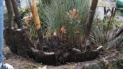 Shovels digging into earth