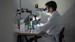 Stock image of UO researcher in lab wearing mask 