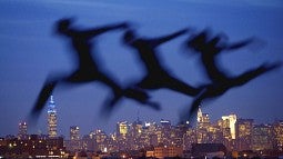 'Rooftop Dancers,' an image by photojournalist Brian Lanker, who is the subject of a retrospective at the Jordan Schnitzer Museum of Art