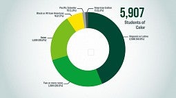 Screen shot of analytics dashboard