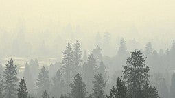 Smoke in Western Oregon
