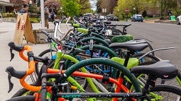 Bicycles on campus