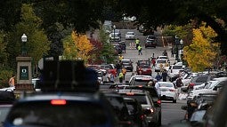Traffic on campus