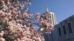 Oregon Capitol
