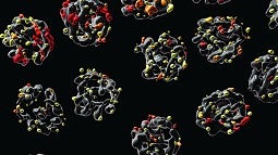 Chromosomes with DNA damage