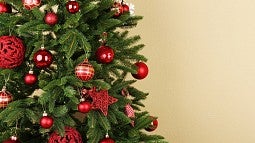 Decorated Christmas tree