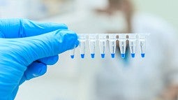 Lab worker holding DNA samples