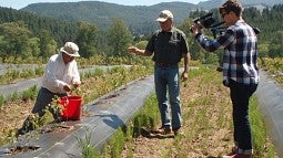 Planting at a sustainable blueberry farm.