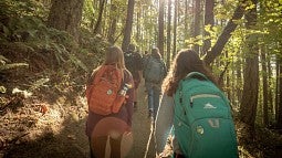 Hikers on a trail