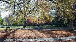 Fall scene