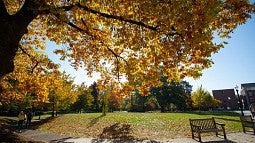 Fall campus scene