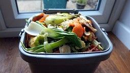 food compost bin