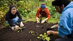 Several community garden projects will be part of Make a Difference Day