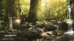 Imaginary forest world
