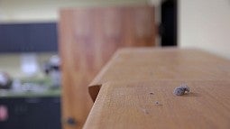 Image shows a collection of dust on a shelf inside a building