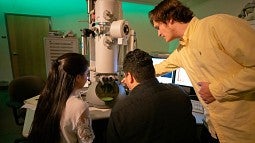 Working at an electron microscope