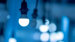 LED bulbs