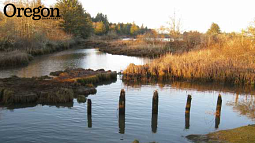 The Lewis and Clark River near Astoria. Photo by Michael Cornelius