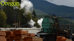 The Hull-Oakes lumber mill, about which the author wrote in the early 1990s, as it looks today. 