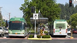 LTD's EmX buses