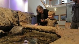 A child at the tidepool touch tank at the new Charleston Marine Life Center