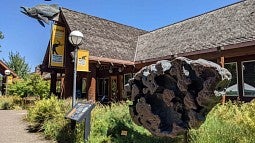 Meteorite replica (courtesy of Museum of Natural and Cultural History)