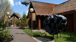 Museum of Natural and Cultural History