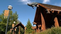 Exterior of the Museum of Natural and Cultural History