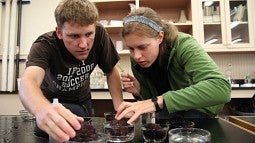 UO researchers have pushed research funding up 4 pecent in the last year