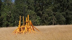 Art installation in field