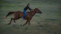 Girl on horseback