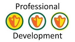 Professional development logo