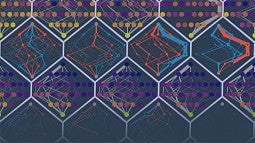 Illustration of predicted protein evolutionary routes