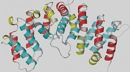 Illustration of a protein