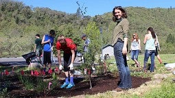 Volunteers at a replanting project